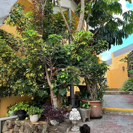 Two-bedroom House At Lila Apartment Puerto de la Cruz (Tenerife)